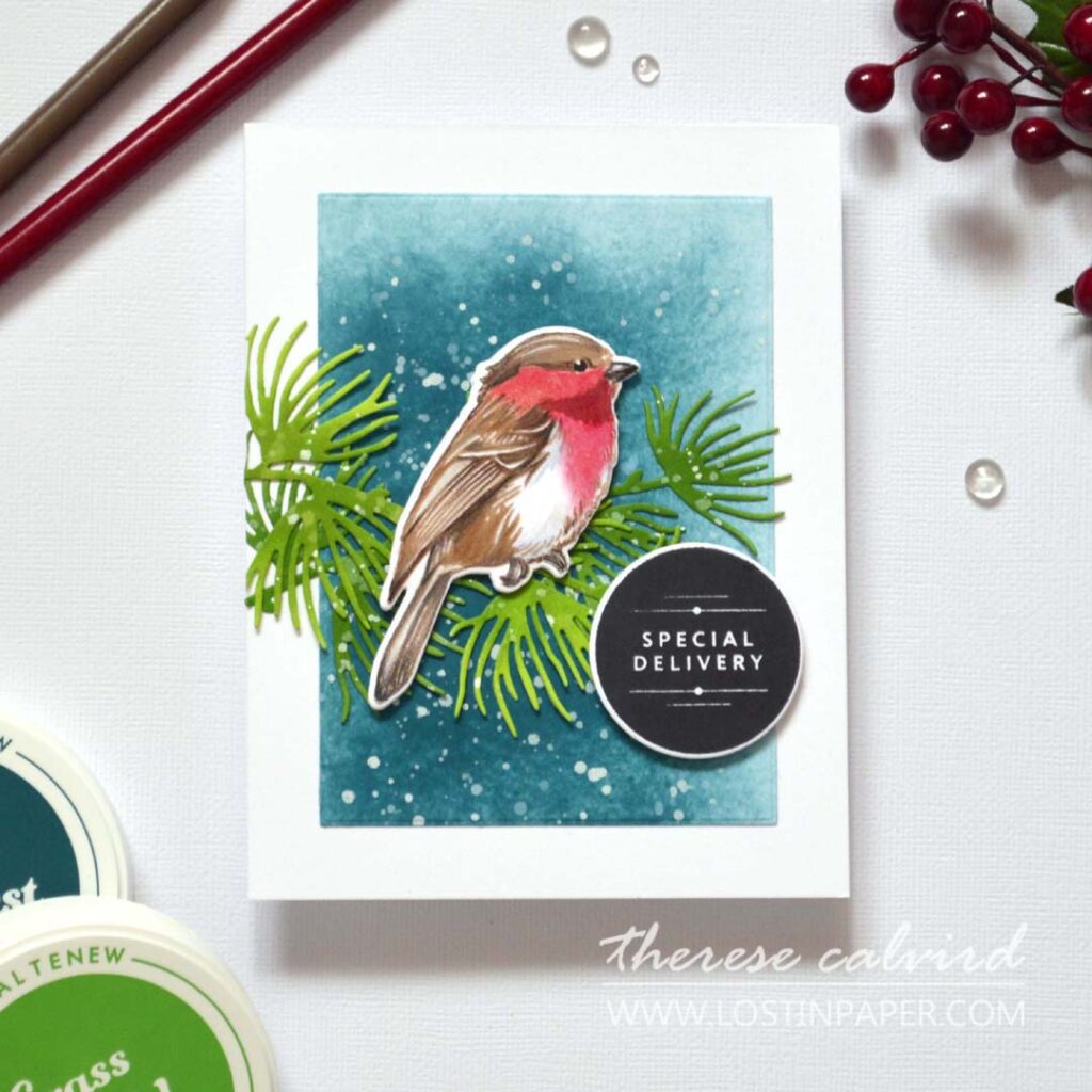 No-line pencil-colored robin (chickadee stamp) on deep teal with snow splatter and ink-shaded die-cut pine branches.