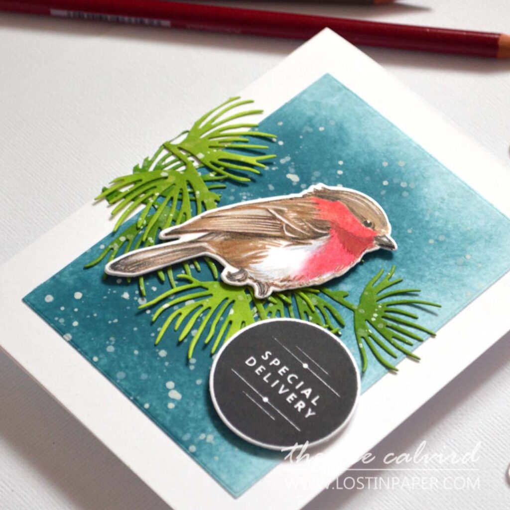 No-line pencil-colored robin (chickadee stamp) on deep teal with snow splatter and ink-shaded die-cut pine branches.