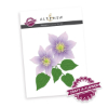 CAF Clematis