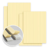 Foam Strips
