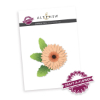 Gerbera Daisy